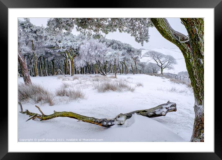Beautiful winter woods Framed Mounted Print by geoff shoults