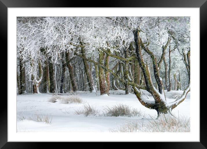 Winter's day Framed Mounted Print by geoff shoults