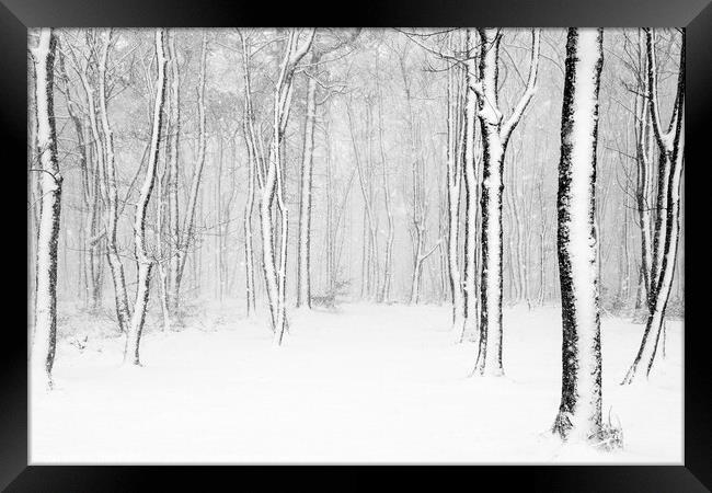 Winter in monochrome Framed Print by geoff shoults