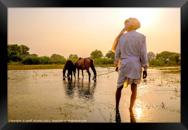 Sunset at the camel fair Framed Print by geoff shoults