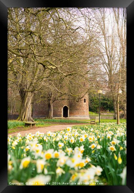 Cow Tower in the Spring time. Framed Print by Paula Sparkes