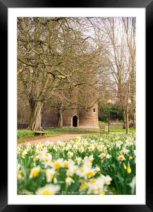 Cow Tower in the Spring time. Framed Mounted Print by Paula Sparkes
