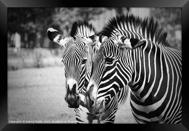 Black and white Stripes Framed Print by Danny Wallis
