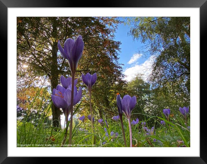A Bugs View Framed Mounted Print by Danny Wallis