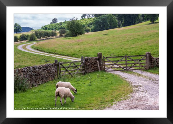 Peak District View Framed Mounted Print by Gary Parker