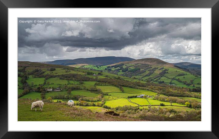 Talybont View  Framed Mounted Print by Gary Parker