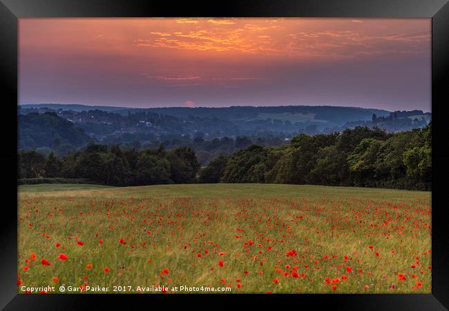 Poppy Field Sunset Framed Print by Gary Parker
