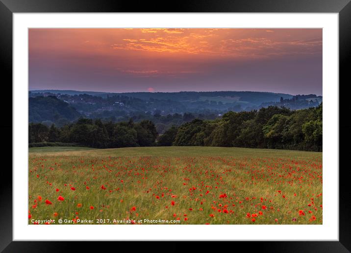 Poppy Field Sunset Framed Mounted Print by Gary Parker