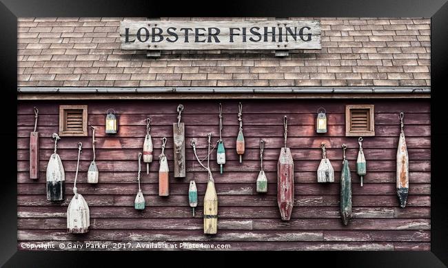 Floats on the outside wall of lobster fishing hut Framed Print by Gary Parker
