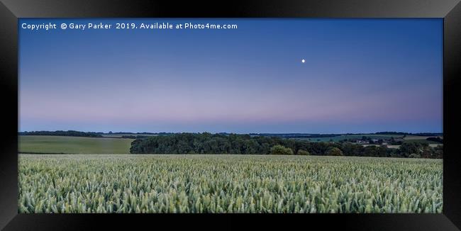 The moon rises over an English wheat field Framed Print by Gary Parker
