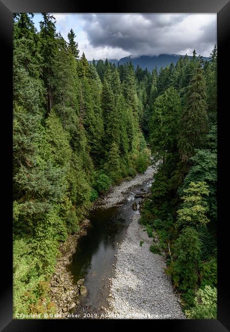 Capilano River, Vancouver, Canada  Framed Print by Gary Parker