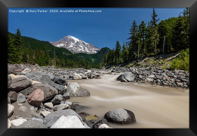 Mount Rainier, Washington State, in the summer. Framed Print by Gary Parker