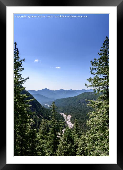 Nisqually river bed, in summer, Mount Rainier Framed Mounted Print by Gary Parker