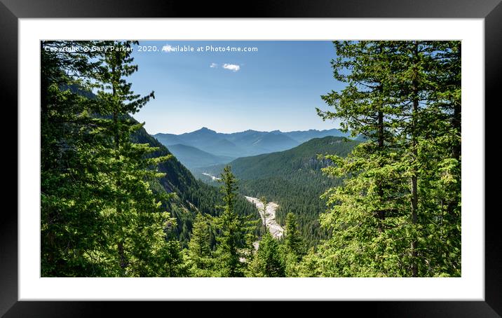 Nisqually river bed, in summer. Mount Rainier Framed Mounted Print by Gary Parker