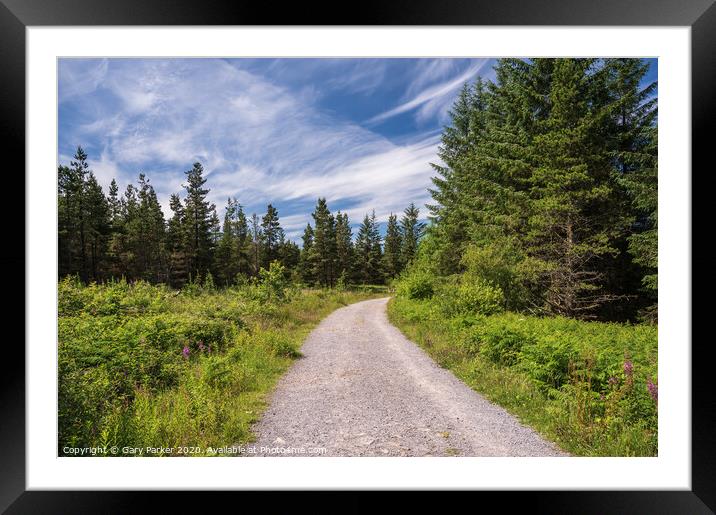 Road in the Brecon Beacons National Park, cutting through the trees	 Framed Mounted Print by Gary Parker