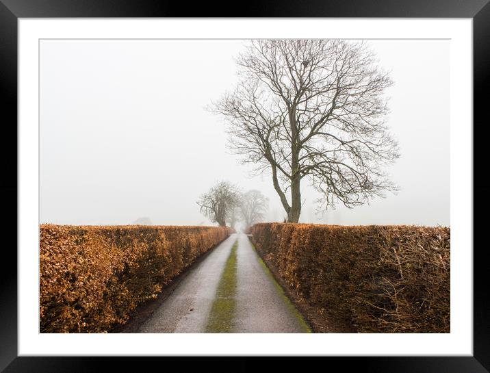 Road to the End Framed Mounted Print by Mahan Adib