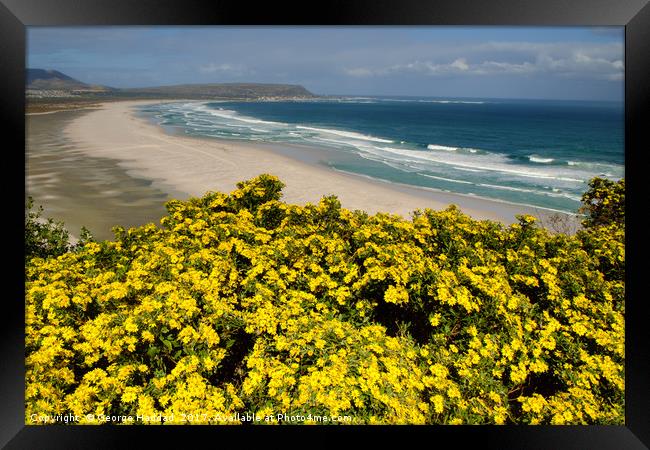 Flowers in bloom. Framed Print by George Haddad