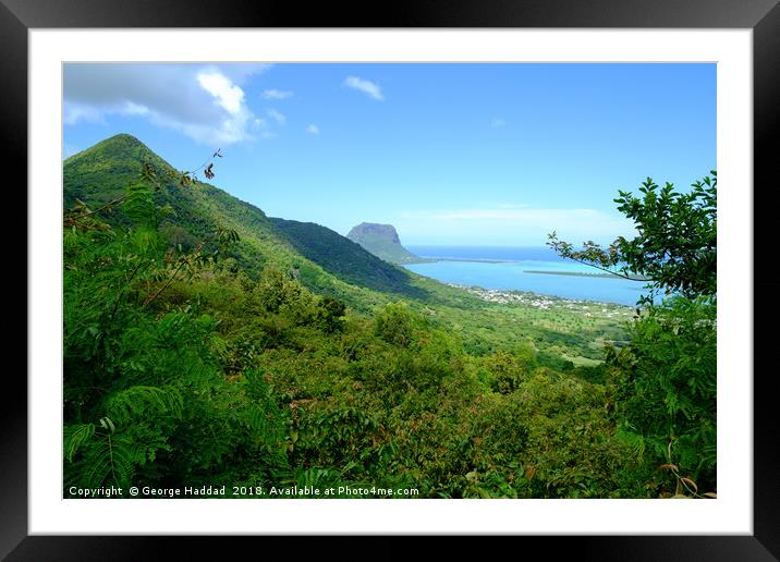 Tropical Paradise Framed Mounted Print by George Haddad
