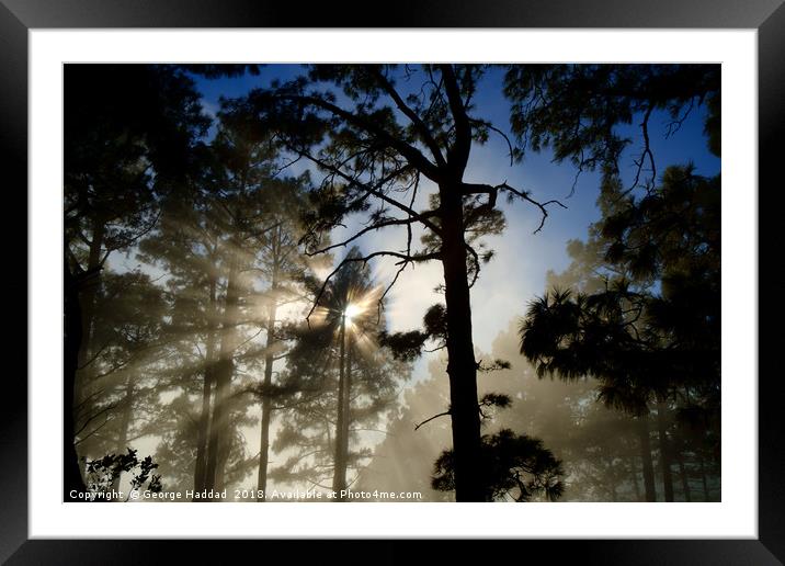 Misty Morning Framed Mounted Print by George Haddad