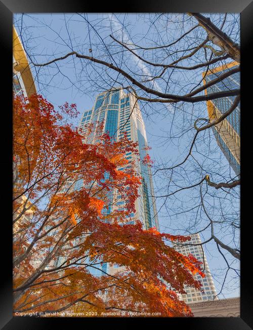 seattle fall Framed Print by jonathan nguyen