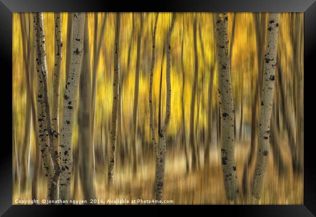 Fall Abstract Framed Print by jonathan nguyen