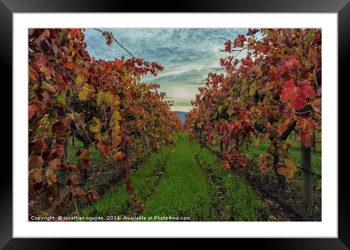 Red Vines 2 Framed Mounted Print by jonathan nguyen