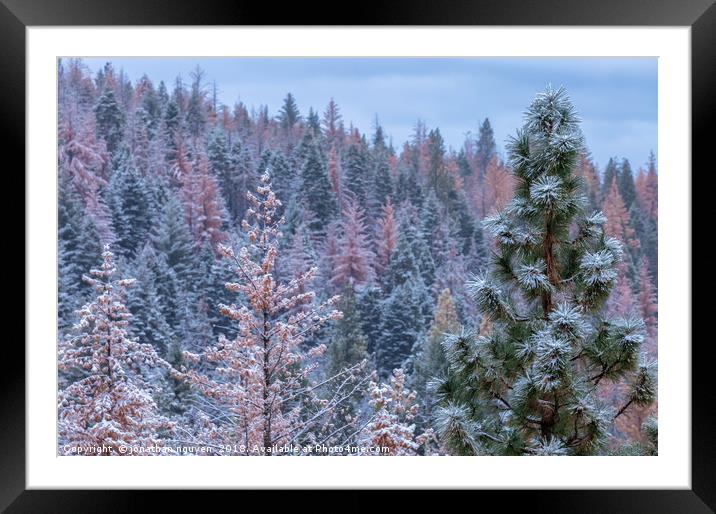 Winterscene Framed Mounted Print by jonathan nguyen