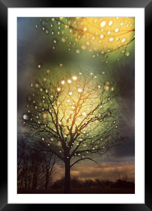 DIY Christmas tree  Framed Mounted Print by Alfredo Bustos