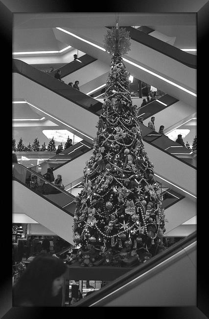 Stairs to Christmas tree  Framed Print by Alfredo Bustos