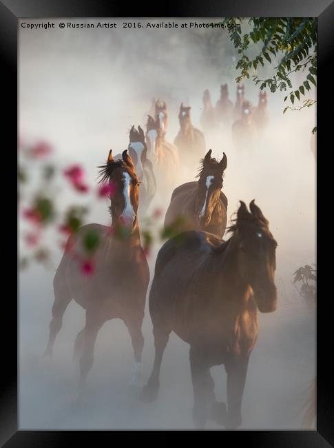 Horse Herd Coming Home Framed Print by Russian Artist 