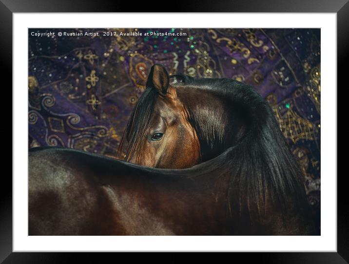 Horse Portrait with Carpet Framed Mounted Print by Russian Artist 