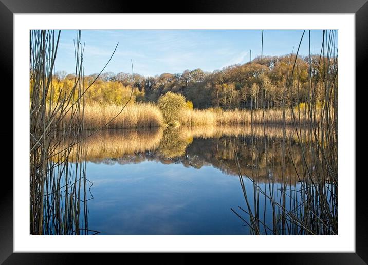 Clockburn Lake Reflections Framed Mounted Print by Rob Cole