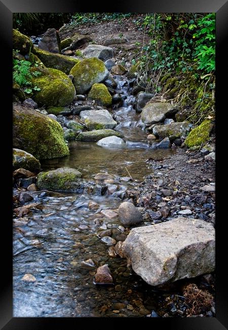 Derwent Valley Stream Framed Print by Rob Cole