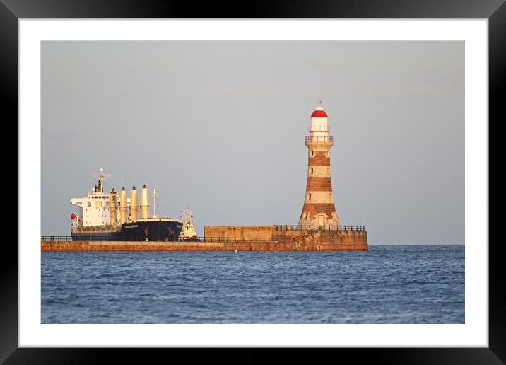 Graceful Gertrude at Roker Pier Framed Mounted Print by Rob Cole