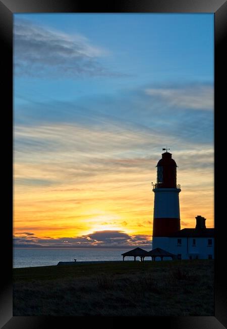 Souter Lighthouse Sunrise Framed Print by Rob Cole