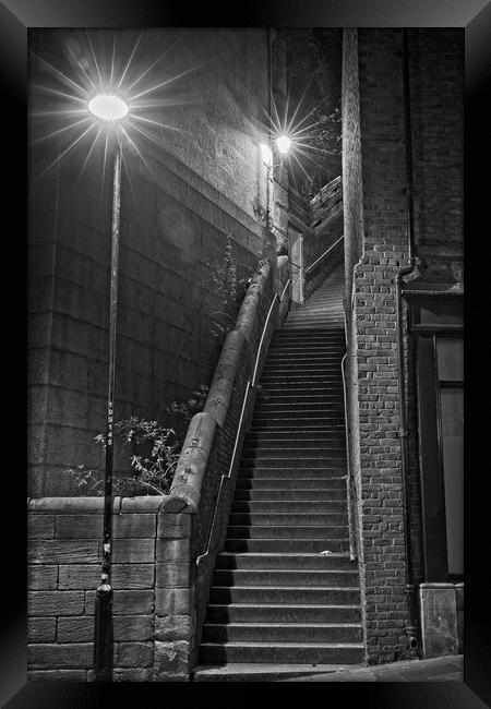 Dog Leap Stairs, Newcastle upon Tyne Framed Print by Rob Cole