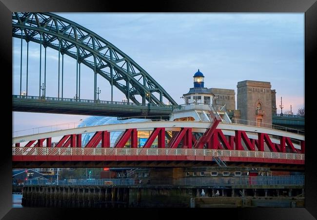 Tyne Bridges Framed Print by Rob Cole