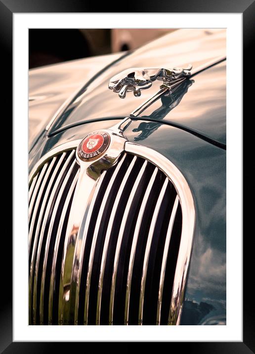 Jaguar Hood Emblem Framed Mounted Print by Rob Cole