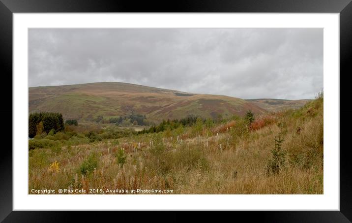 Majestic Scottish Borders Landscapes Framed Mounted Print by Rob Cole