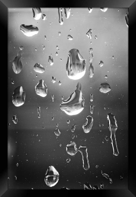 Dancing Raindrops Framed Print by Rob Cole