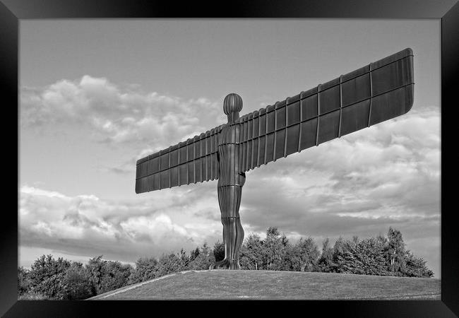 Angel of the North, North East England Framed Print by Rob Cole