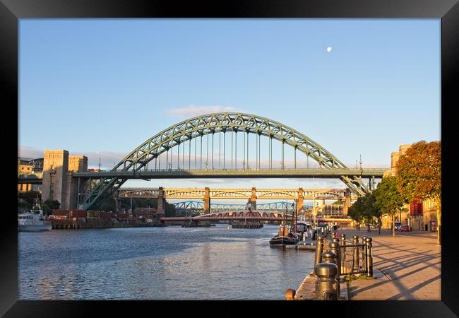 Newcastle Tyne Bridges Framed Print by Rob Cole