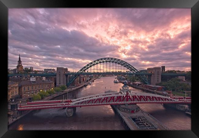 Newcastle Tyne Bridges at Dawn Framed Print by Rob Cole