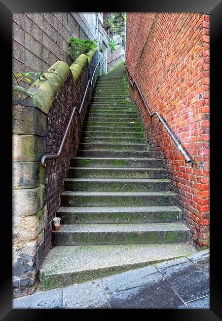 Dog Leap Stairs, Newcastle upon Tyne Framed Print by Rob Cole
