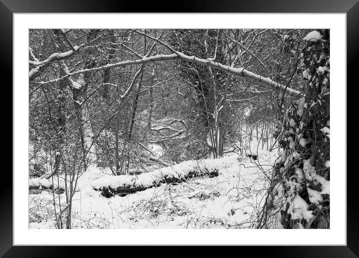 Winter Woodland, Thornley Woods Framed Mounted Print by Rob Cole