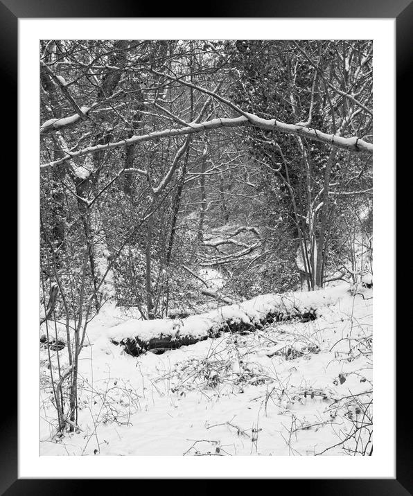 Winter Woodland, Thornley Woods Framed Mounted Print by Rob Cole