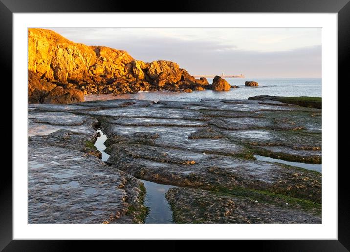 Trow Point, South Sheilds Framed Mounted Print by Rob Cole