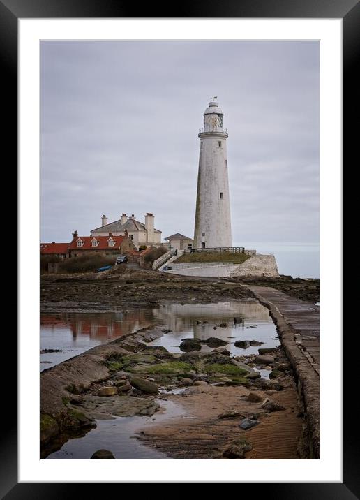 St Mary's Lighthouse, Whitley Bay Framed Mounted Print by Rob Cole