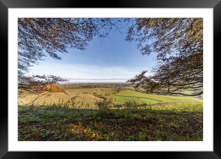 Beautiful Autumn Light Framed Mounted Print by Philip Cooper