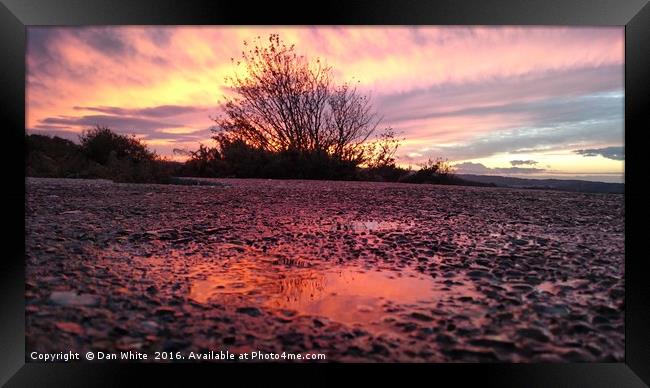 Colours of nature  Framed Print by Dan White